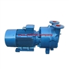 Đầu bơm công nghiệp  2BV5131 chính hãng